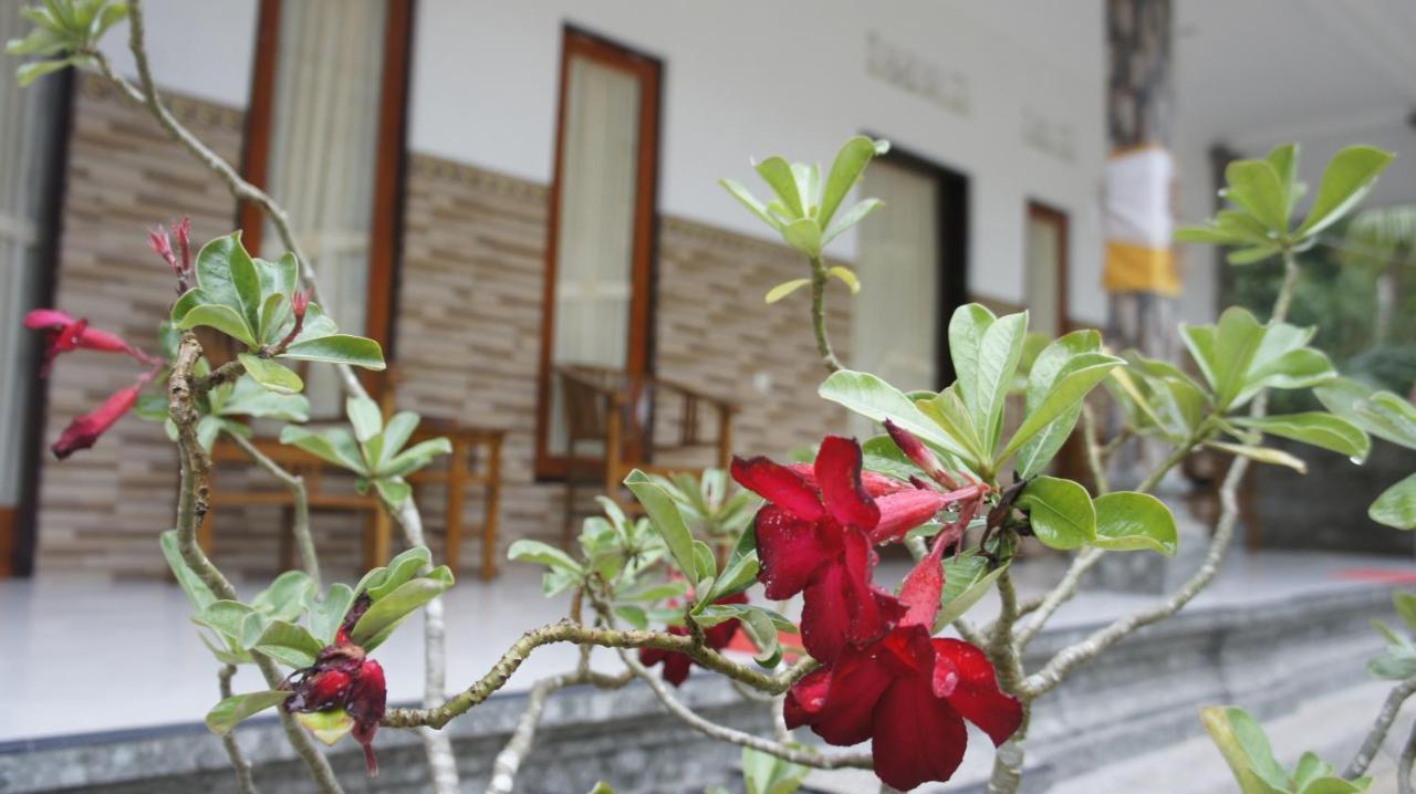 Klotok Home Stay Nusa Batununggul 외부 사진